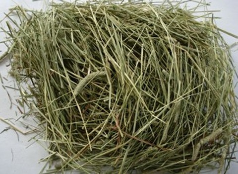 تصویر 2 از فروش یونجه خشک خرگوش + قیمت خرید به صرفه